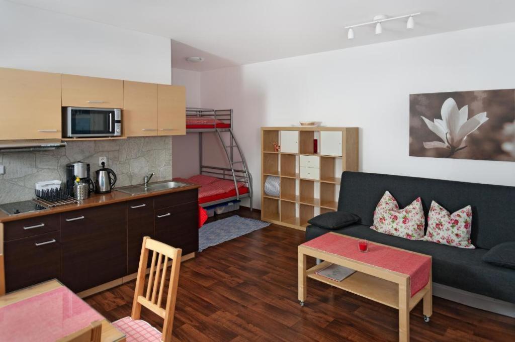 Apartmany Klinovec - Apartment Keilberg Loučná pod Klínovcem المظهر الخارجي الصورة